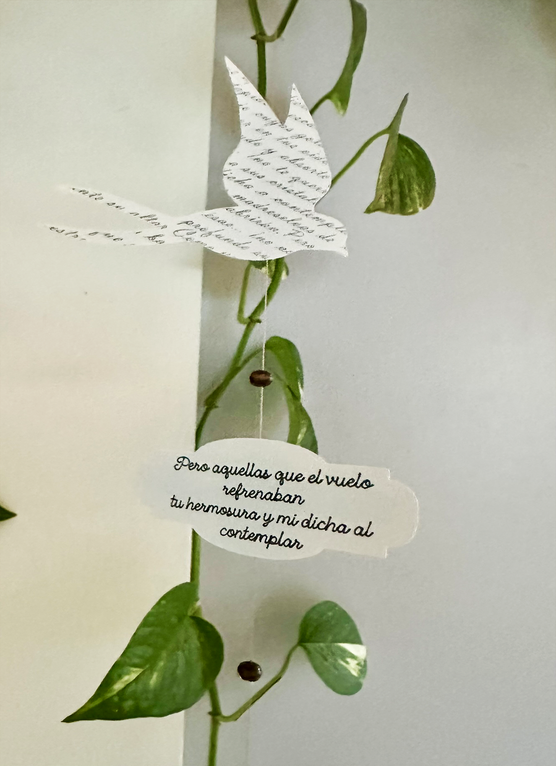 Guirnalda Poética - G. A. Bécquer | Rima LIII - Golondrinas