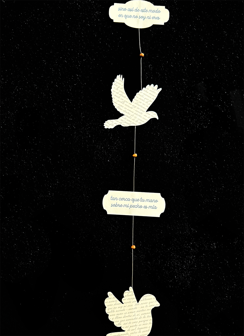 Guirnalda Poética – P. Neruda | Soneto XVII - Palomas